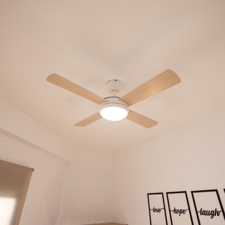 Cruz Cubierta Apartments - One-Bedroom Apartment - 4