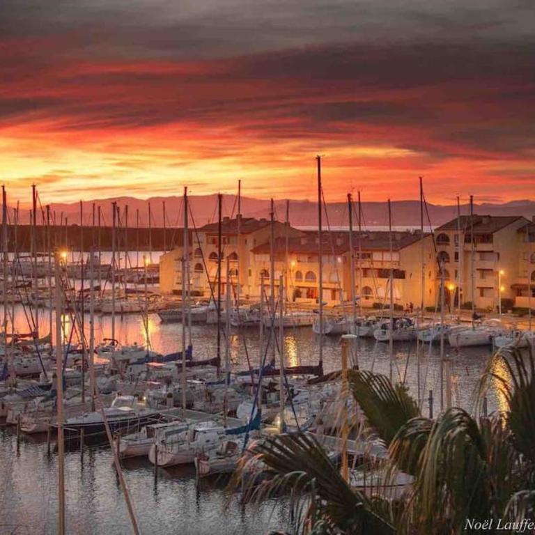 Les Voiles Blanches T2 luxe à 100m de la plage - Appartement 1 Chambre - 7