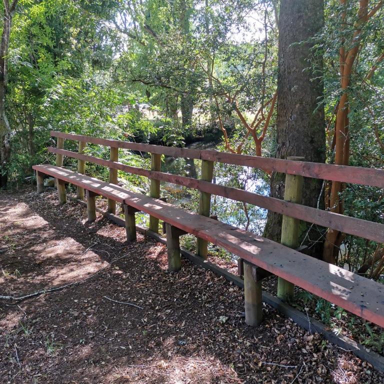 Cabañas y Hostal Casa de Campo Rukaleufu a orillas del Rio Huiscapi - Habitación Triple - 5