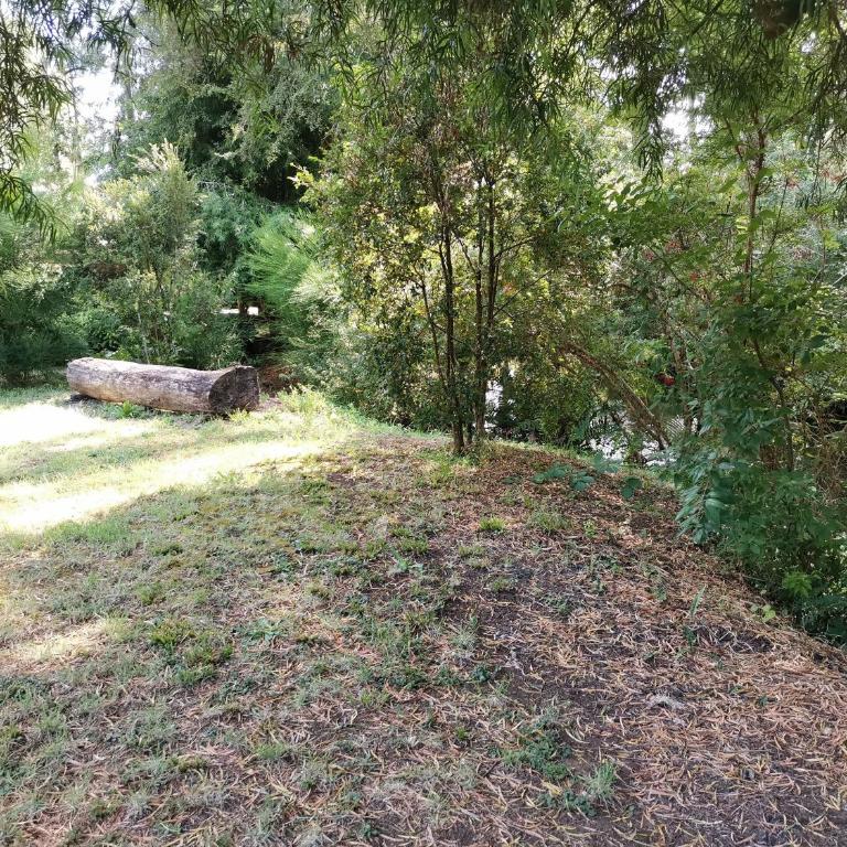 Cabañas y Hostal Casa de Campo Rukaleufu a orillas del Rio Huiscapi - Habitación Triple - 4