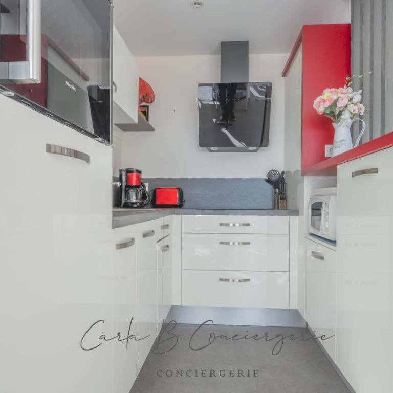 EVASION MARINE appartement VUE MER 2-4 personnes - Apartment mit 2 Schlafzimmern - 11