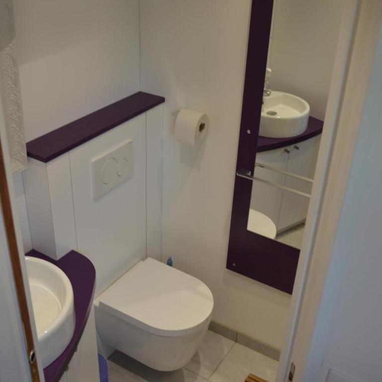 Le Coin des Cygnes, appartement face au lac d'Annecy avec plage privée - Appartement - Vue sur Lac - 31