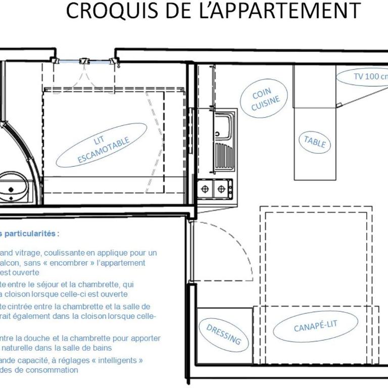 Le Coin des Cygnes, appartement face au lac d'Annecy avec plage privée - Appartement - Vue sur Lac - 16