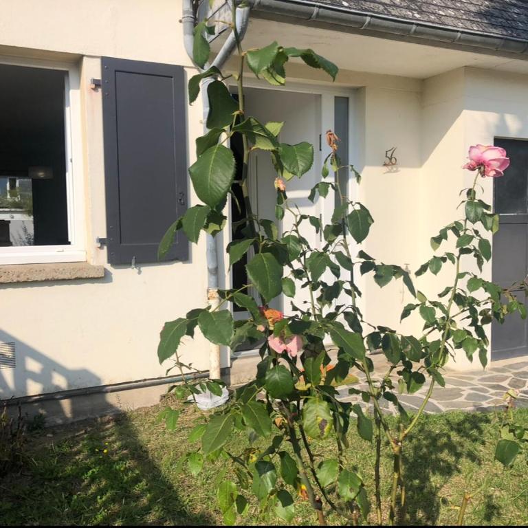 La Palmerais Dinard - 5 min de la plage - Four-Bedroom House - 2