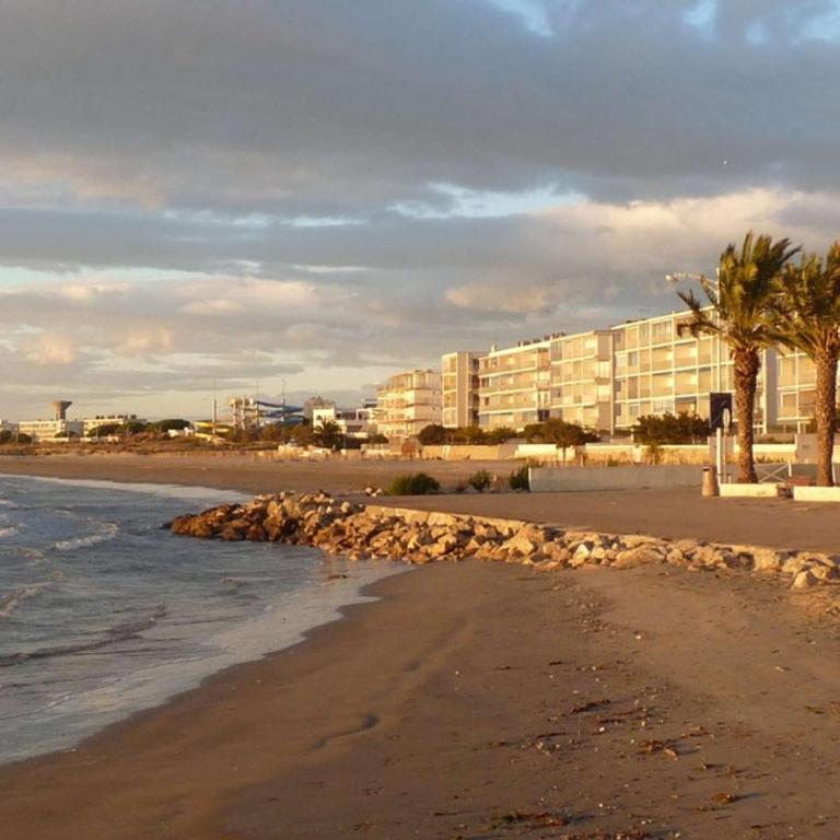 Appartement 2P avec cabine, grande terrasse, parking, 400m plage - FR-1-307-129 - Appartamento (4 Adulti) - 5