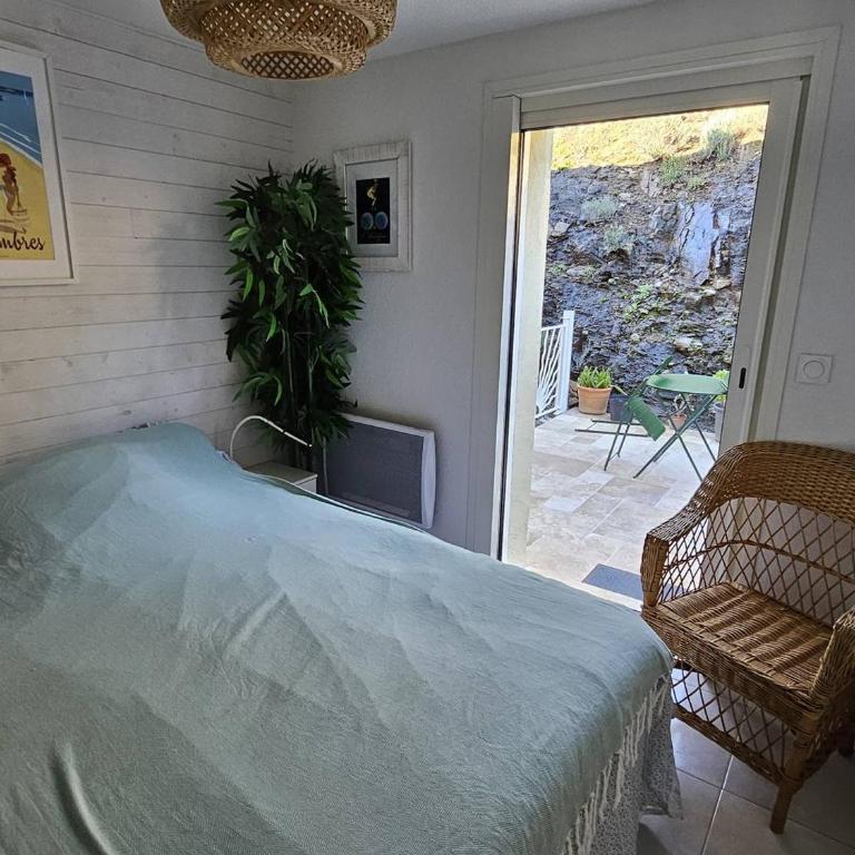 Maison mitoyenne T3 avec piscine, clim, parking, animaux acceptés - FR-1-768-21 - Maison de Vacances - 15