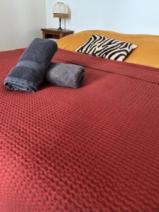 L'écume des jours VUE MER - Appartement 2 Chambres - 12