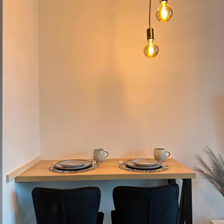 Dorcolina - Novi Dorcol - Apartman sa 1 Spavaćom Sobom - 12