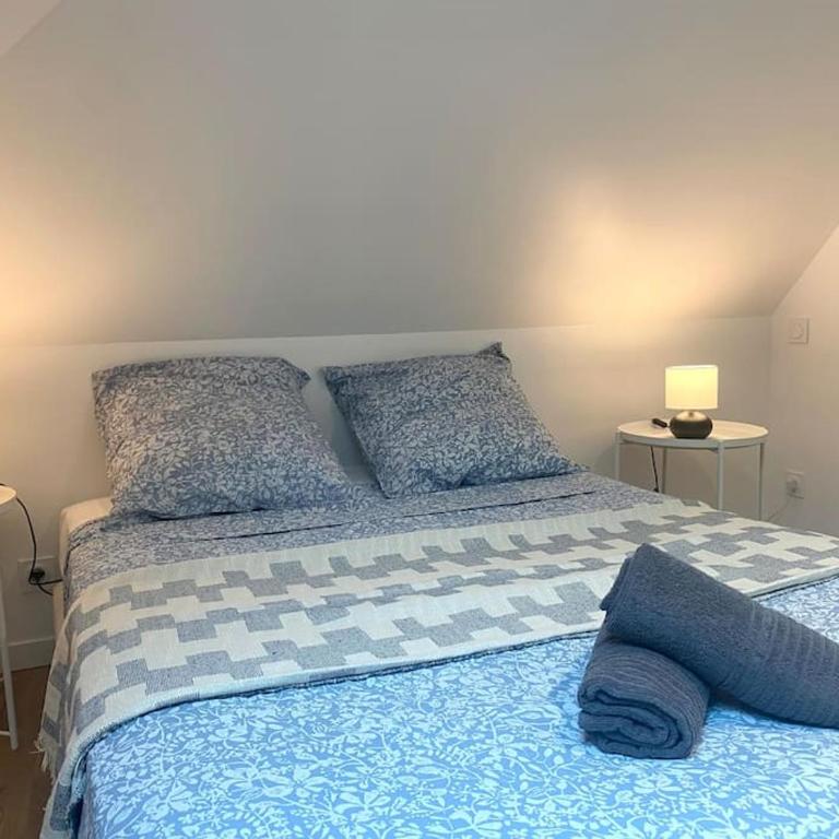 Le Thabor - T3 proche Centre Rennes - Apartamento de 1 dormitorio - 5