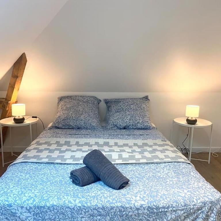 Le Thabor - T3 proche Centre Rennes - Apartamento de 1 dormitorio - 11