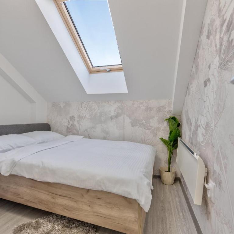 Ice magic Zlatibor - Apartman sa 3 Spavaće Sobe - 6