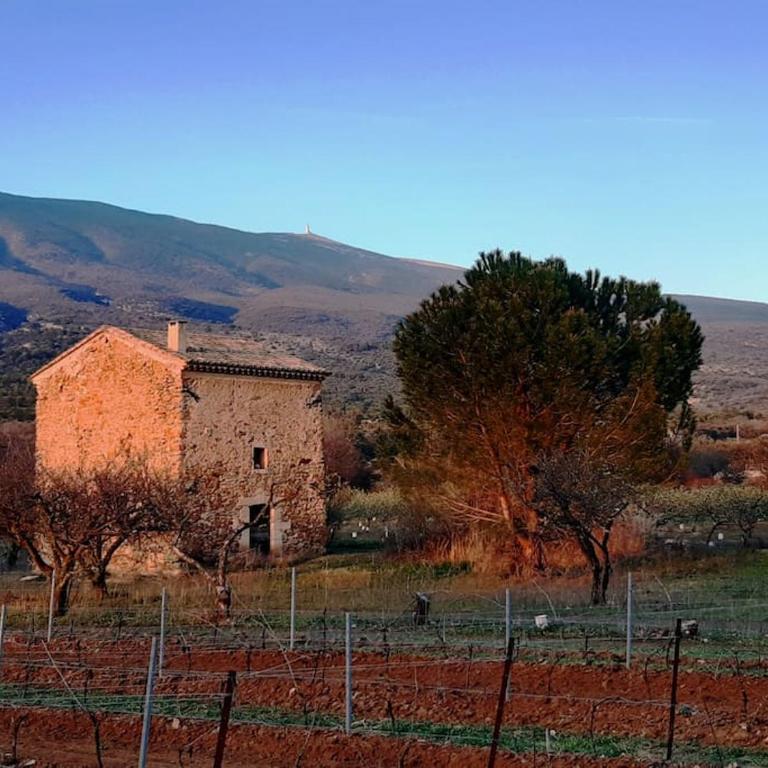Au Bregnat Vue du mont Ventoux - Maison 3 Chambres - 12