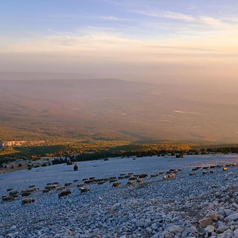 Au Bregnat Vue du mont Ventoux - Maison 3 Chambres - 22