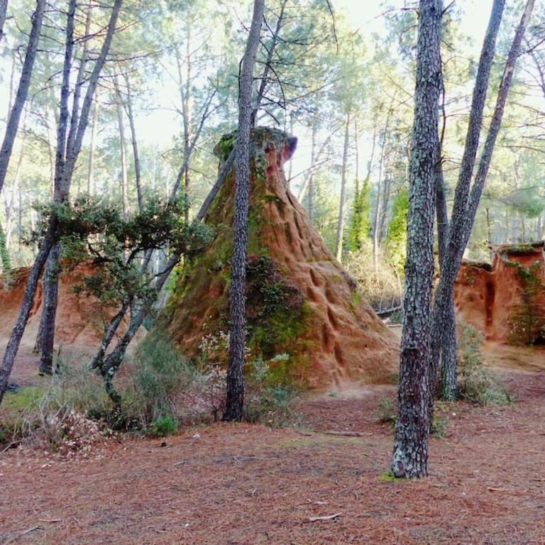 Au Bregnat Vue du mont Ventoux - Maison 3 Chambres - 43