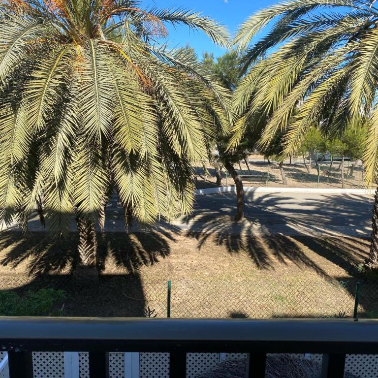 Puerto Latino A11 - Apartment with Garden View - 20
