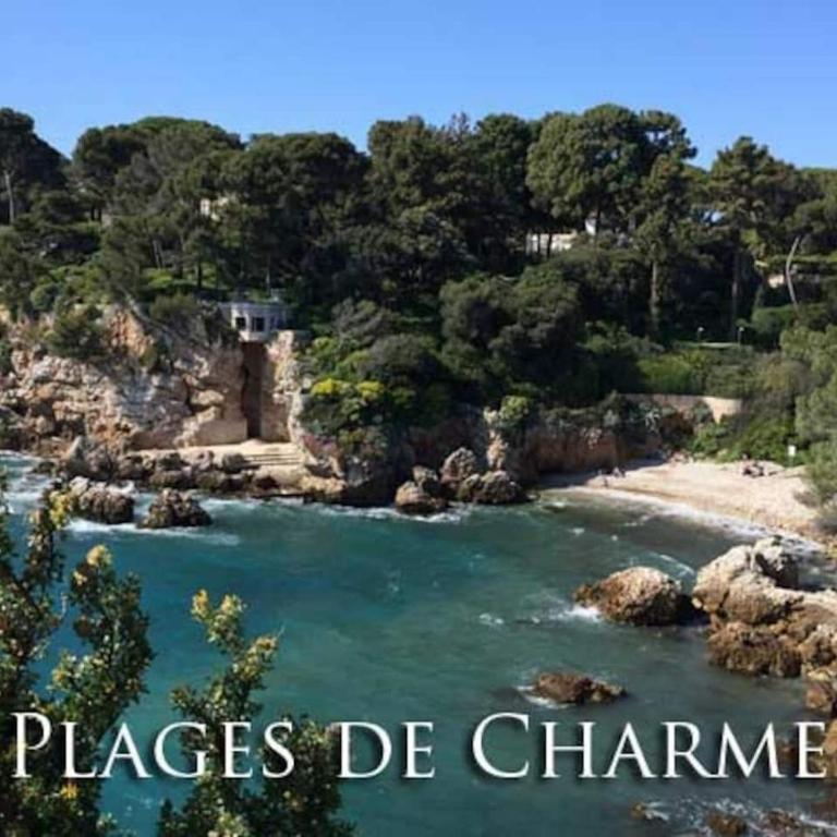 Appartement dans la villa "La Méridiane" - Appartement - Vue sur Jardin - 65