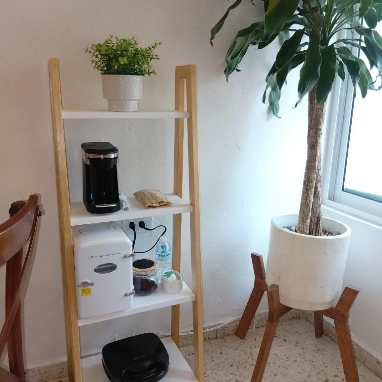 Hotel Downtown Merida - Budget Double Room - 10