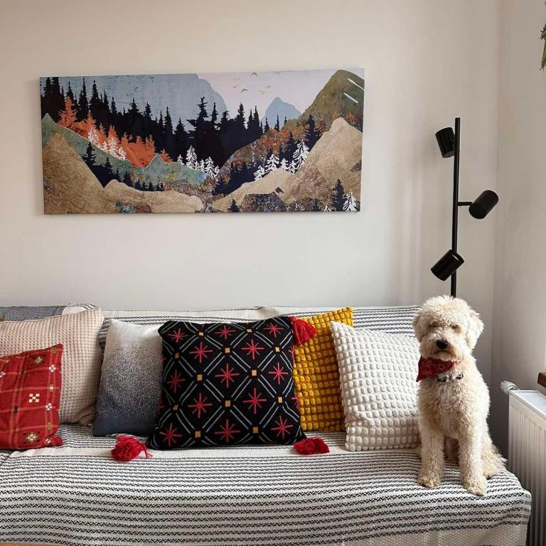 Aries apartman Divčibare - Apartman sa 1 Spavaćom Sobom - 5