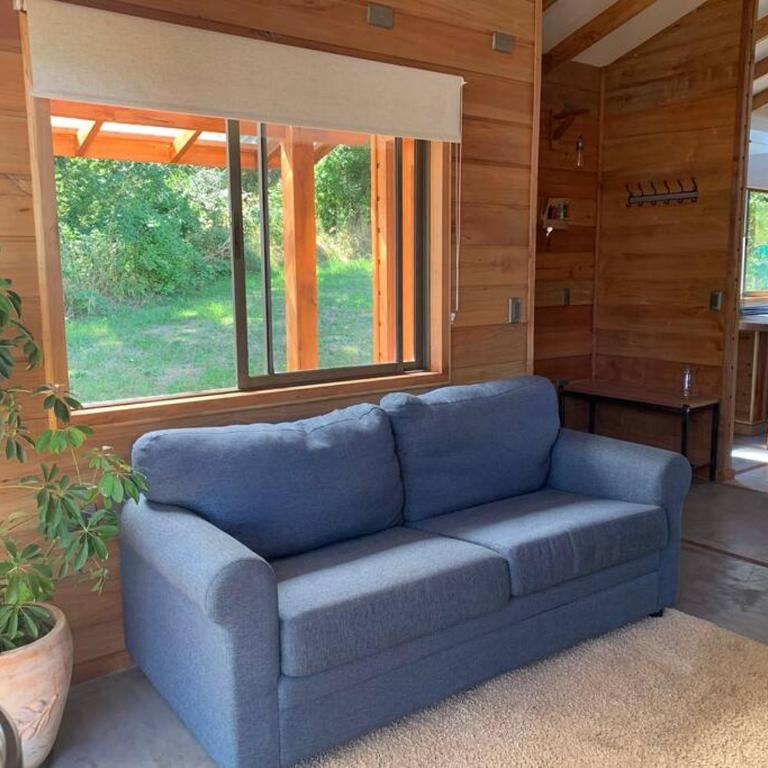Hermosa y acogedora cabaña camino a P. Tolhuaca - Casa con 1 dormitorio - 27