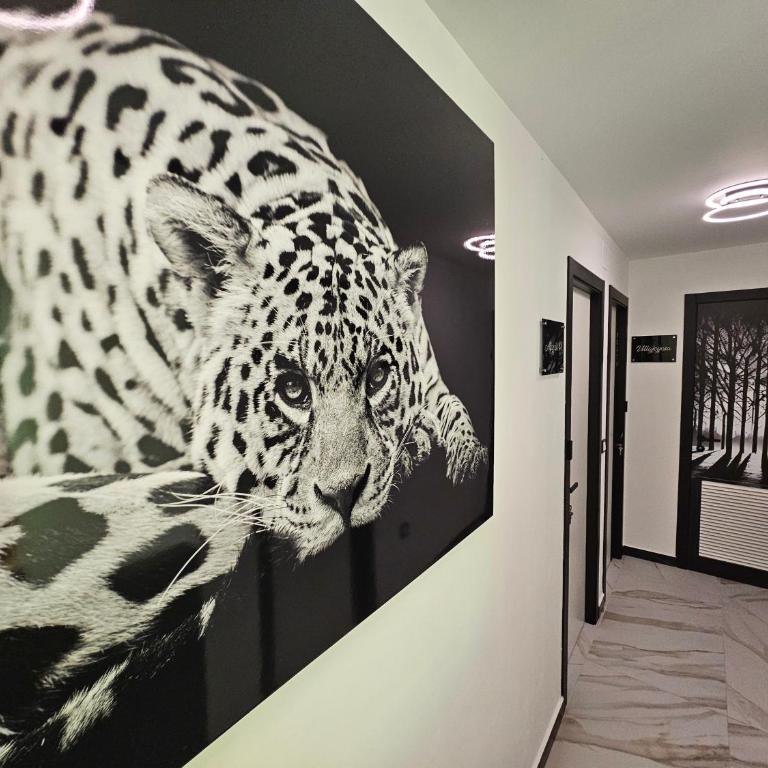 HOSTAL LUXURY NIT I DIA - Suite Deluxe con vistas al mar - 3
