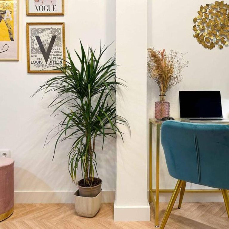 Sofisticación y glamour frente al Auditorio. - Apartamento de 2 dormitorios - 33