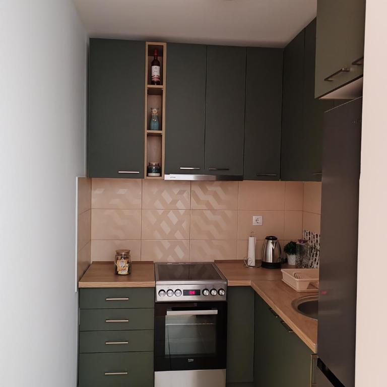 Apartman Kosta Novi Sad - Apartman sa 1 Spavaćom Sobom - 10