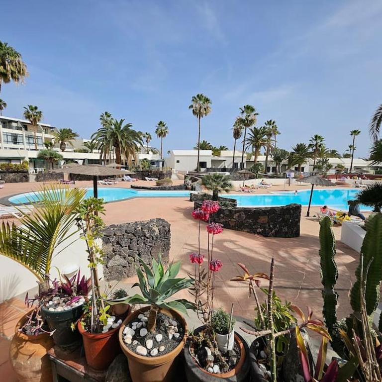 Apartamento TAISA Playa Roca - Apartamento de 1 dormitorio - 14