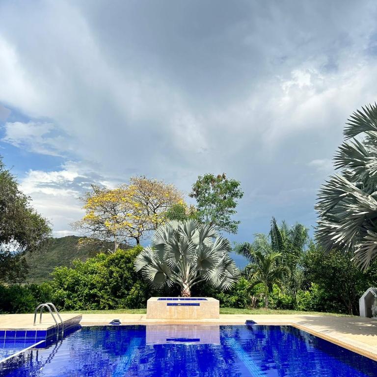 Ecofinca San José - Casa de 4 dormitorios - 6