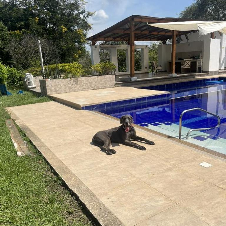 Ecofinca San José - Casa de 4 dormitorios - 29