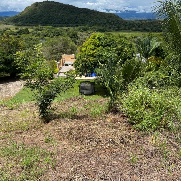 Ecofinca San José - Casa de 4 dormitorios - 38