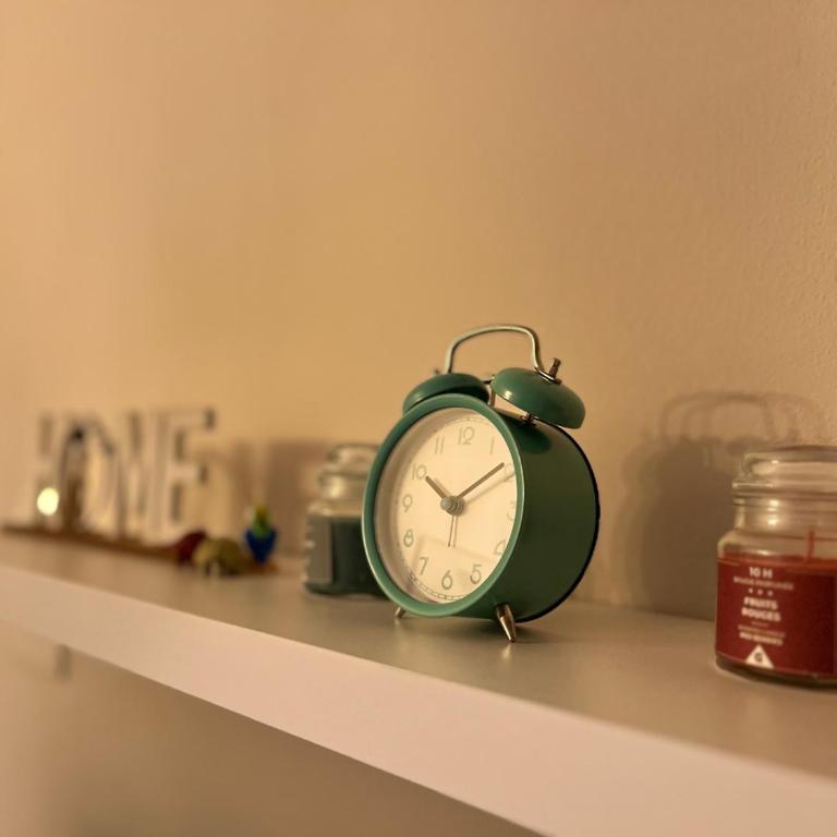 Apartment Wellness - Apartman sa 1 Spavaćom Sobom - 6