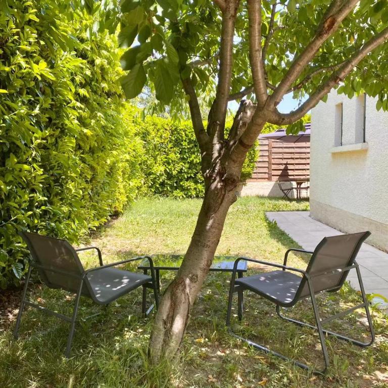 Charmante Maison provençale avec piscine dans Avignon - Haus mit 4 Schlafzimmern - 15