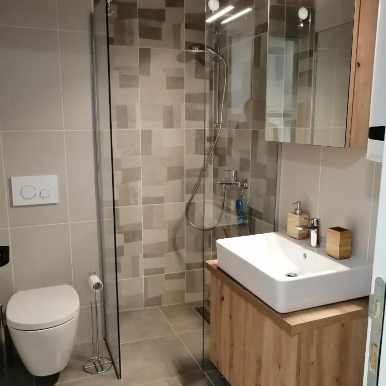 Aries apartman Divčibare - Apartman sa 1 Spavaćom Sobom - 15
