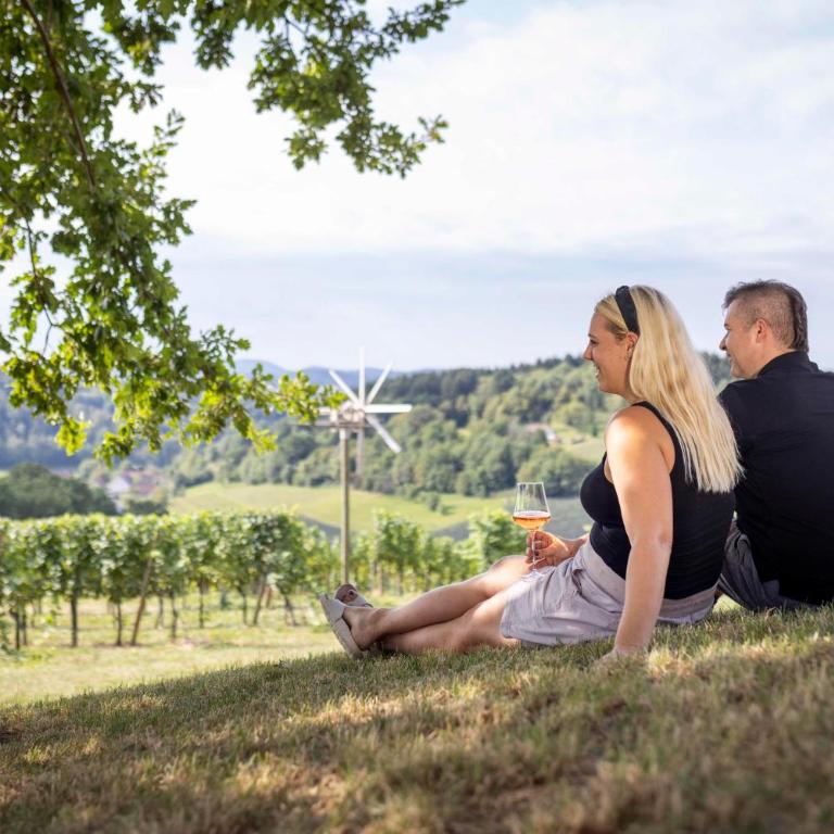 Weingut Dietl - Apartment with Garden View - 1