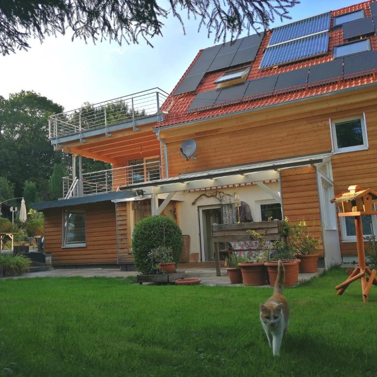 Ferienwohnung Hecht - Biketrail Fun & Relaxing - Apartment mit 1 Schlafzimmer - 5