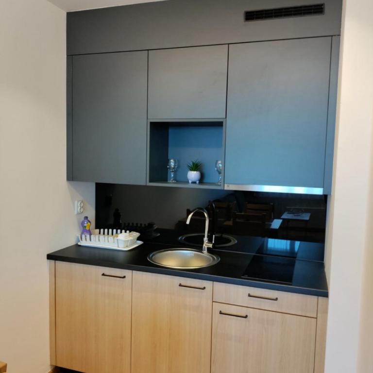 Apartman Bajka - Aparthotel Zlatni Javor - One-Bedroom Apartment - 8