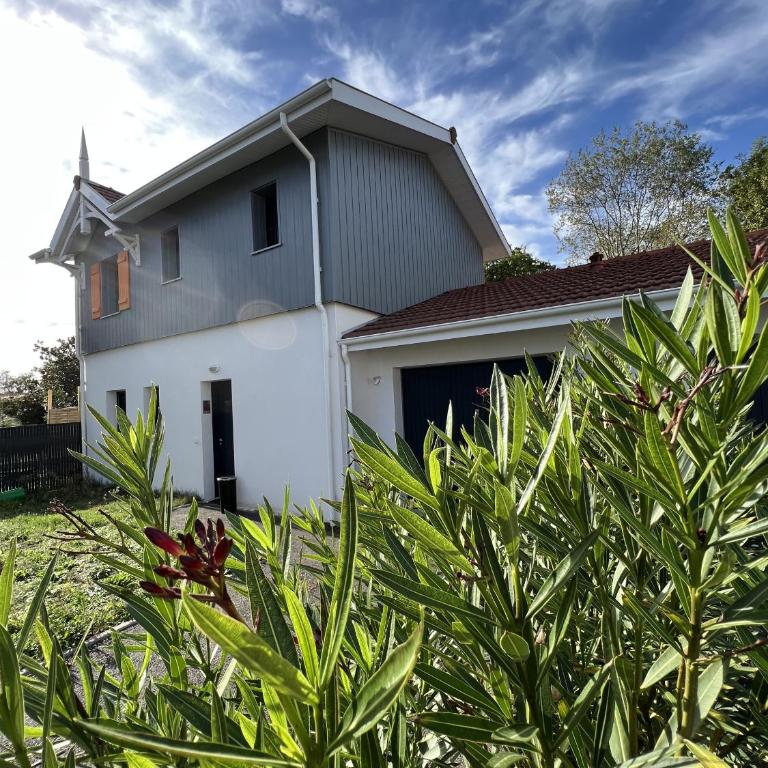 Cocon apaisant sur le Bassin d'Arcachon - Casa Vacanze - 20