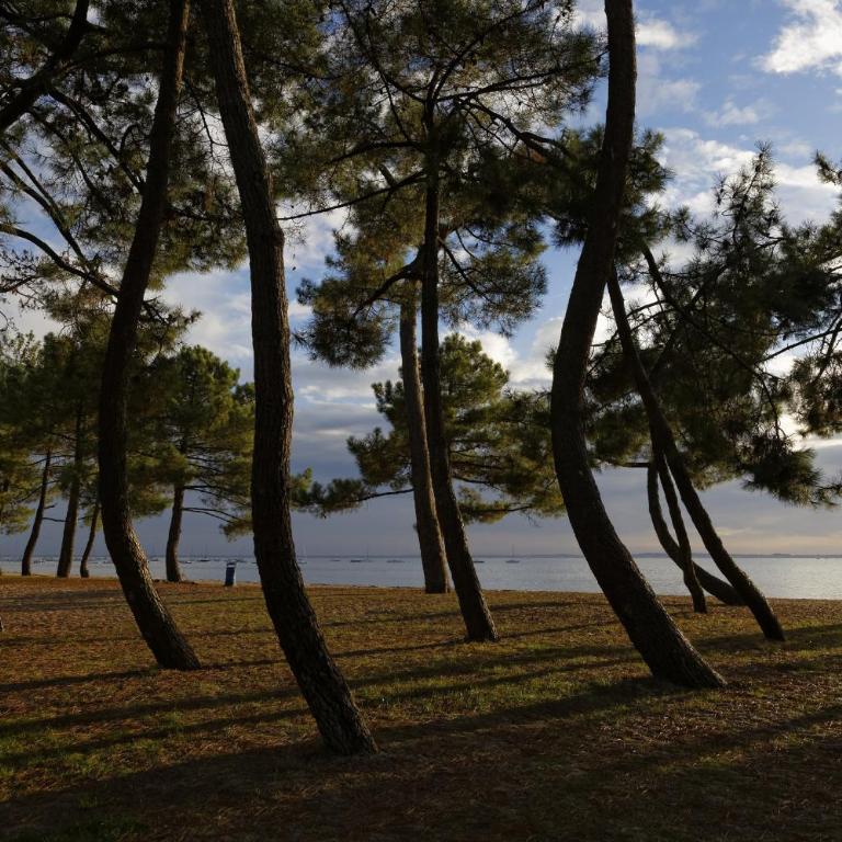 Cocon apaisant sur le Bassin d'Arcachon - Casa Vacanze - 22