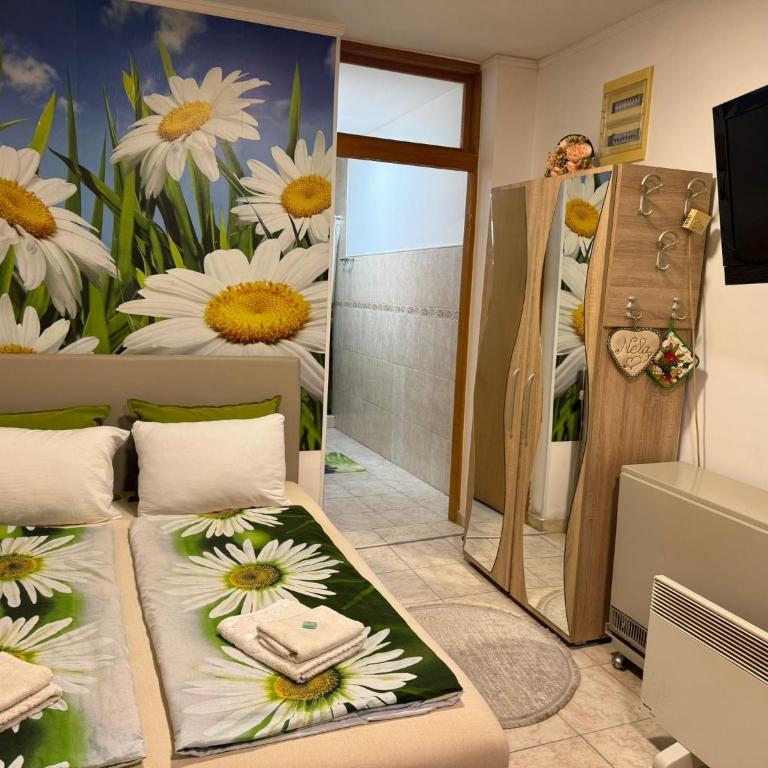 Nela Apartmani - Apartman sa 1 Spavaćom Sobom - 9