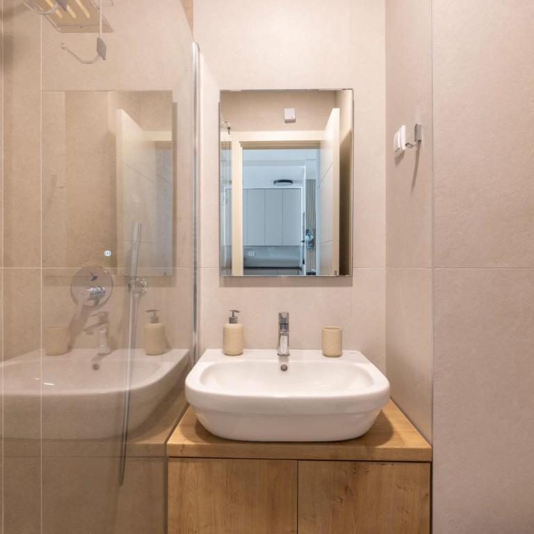 N65 LUX Apartment - Apartman sa 1 Spavaćom Sobom - 24