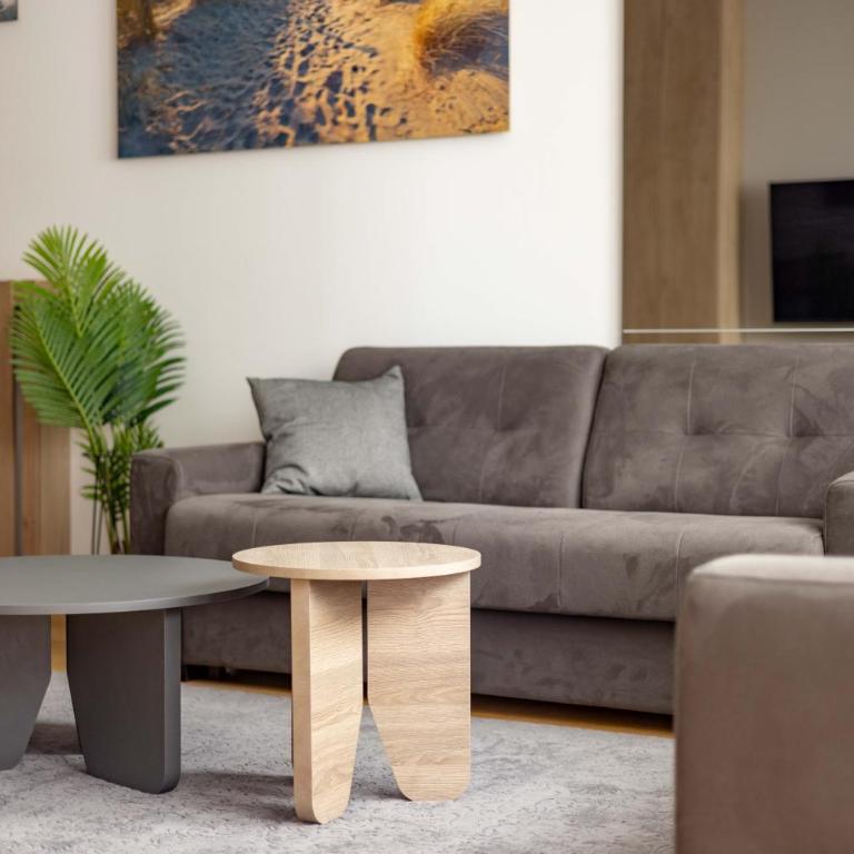 N65 LUX Apartment - Apartman sa 1 Spavaćom Sobom - 9