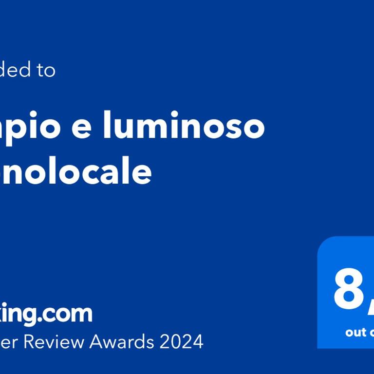 Ampio e luminoso Monolocale - Appartamento con 1 Camera da Letto - 29