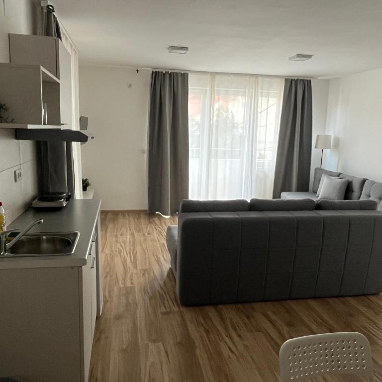Milutinn-Visterija - Apartman sa 1 Spavaćom Sobom - 12