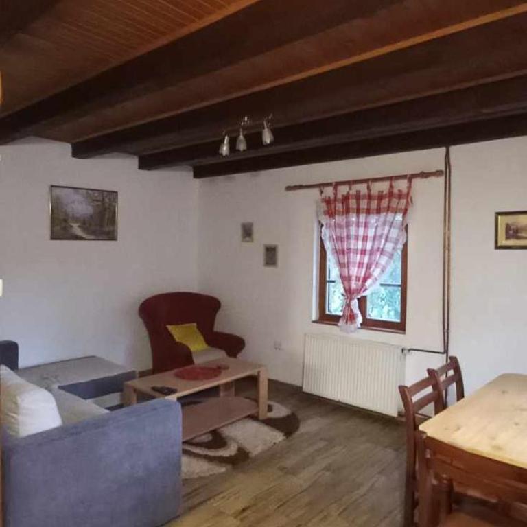 Brvnara za odmor Tara - Kuća sa 2 Spavaće Sobe - 5