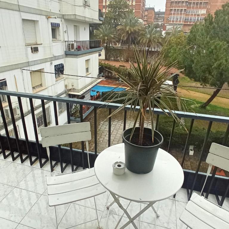 Apartamento Luz de Levante - Apartamento - 35