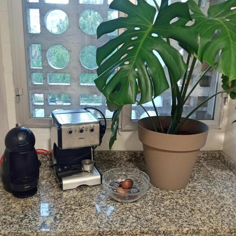 Apartamento Luz de Levante - Apartamento - 17