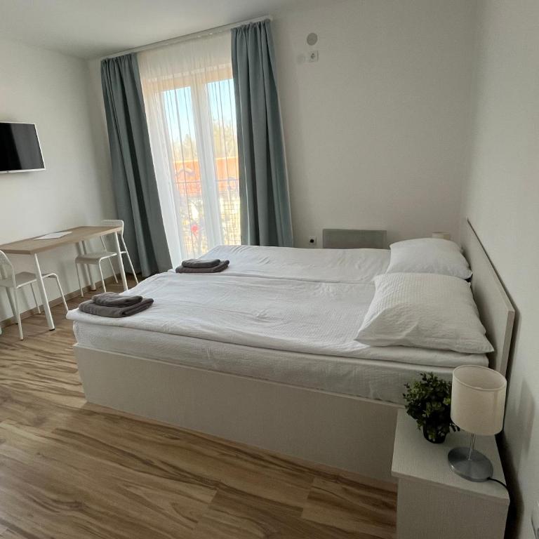 Milutinn-Trešnja - Apartman sa 1 Spavaćom Sobom - 12