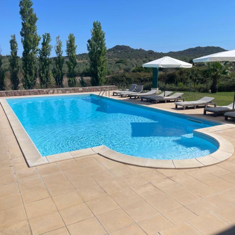 Villa con piscina - Alghero - “VILLA ELENA” - Villa - 99