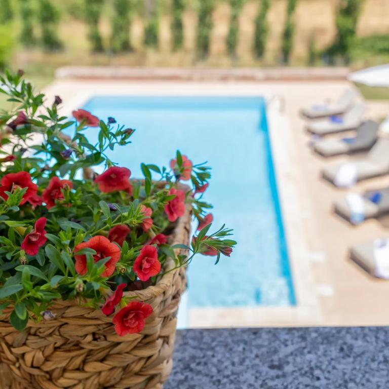 Villa con piscina - Alghero - “VILLA ELENA” - Villa - 98