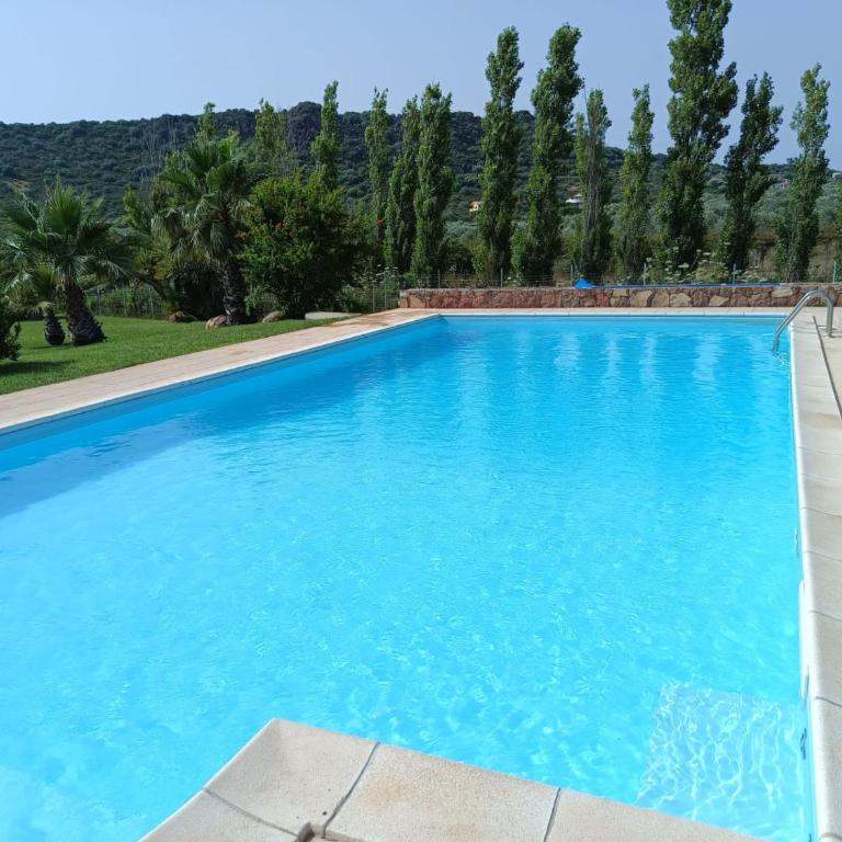 Villa con piscina - Alghero - “VILLA ELENA” - Villa - 42